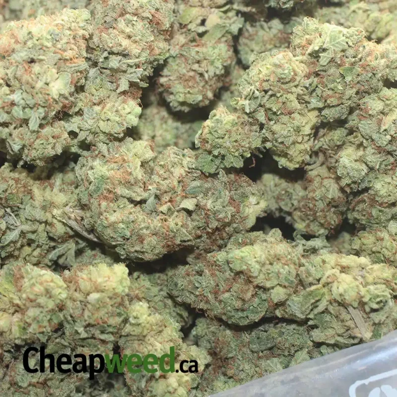 Lemon Breath - Image 3