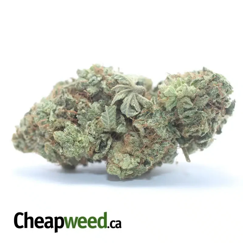 Lemon Breath