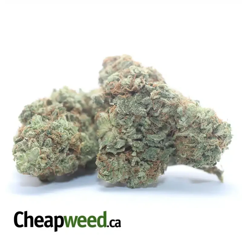Lemon Breath - Image 2