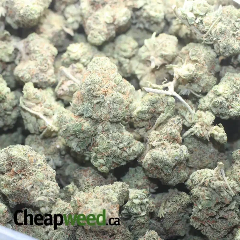 Lemon Candy Bulk Special - Image 3