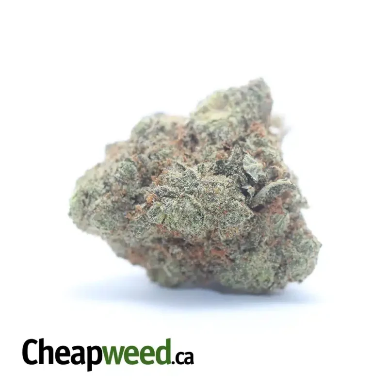 Lemon Candy Bulk Special