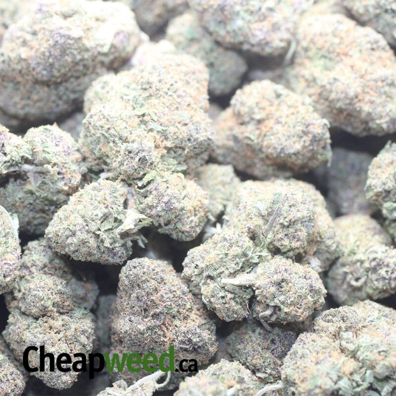 Lemon Cookies – *Deal of the Day* - Image 3