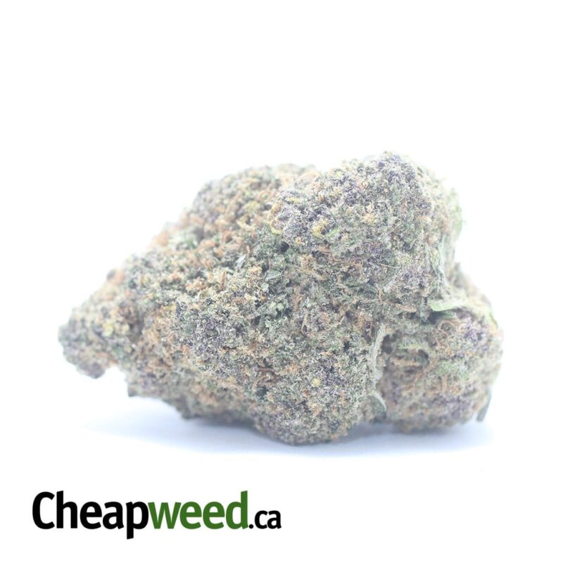 Lemon Cookies – *Deal of the Day*