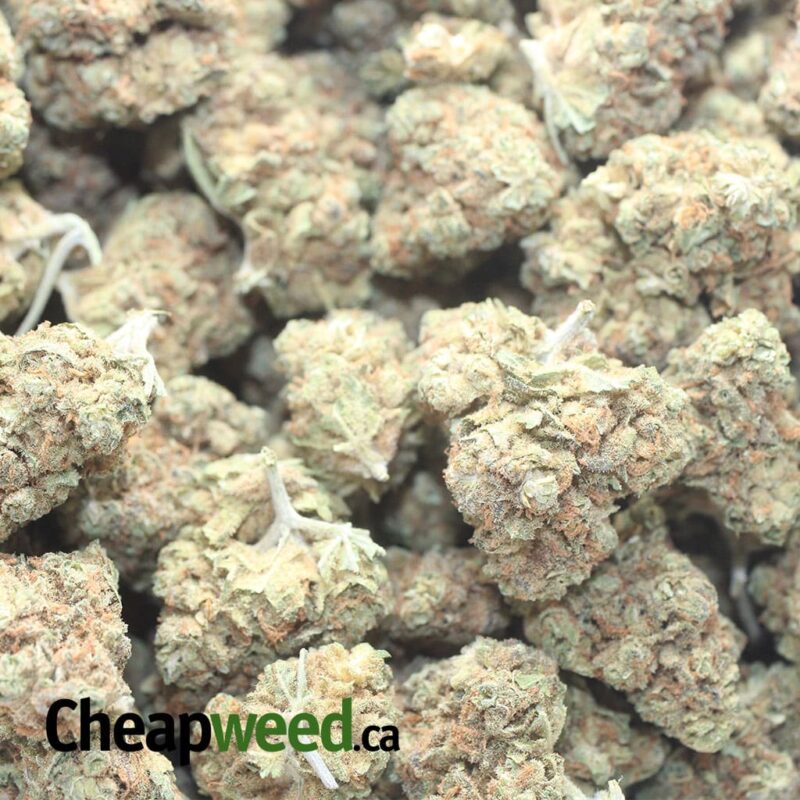 $ 38 Oz – Lemon Diesel - Image 3