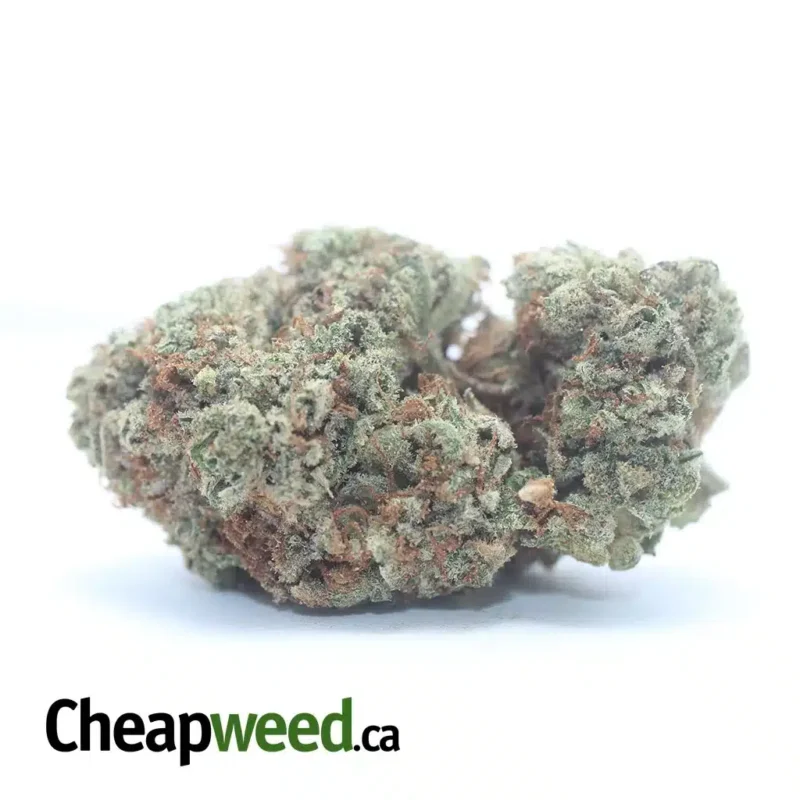 Lemon Haze