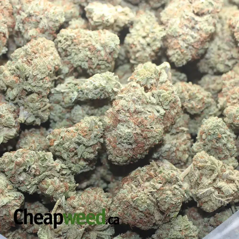 Lemon Haze - Image 3