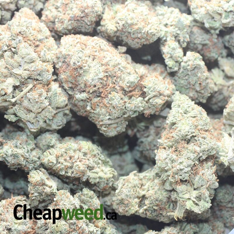 $50 Oz – Lemon Haze - Image 3