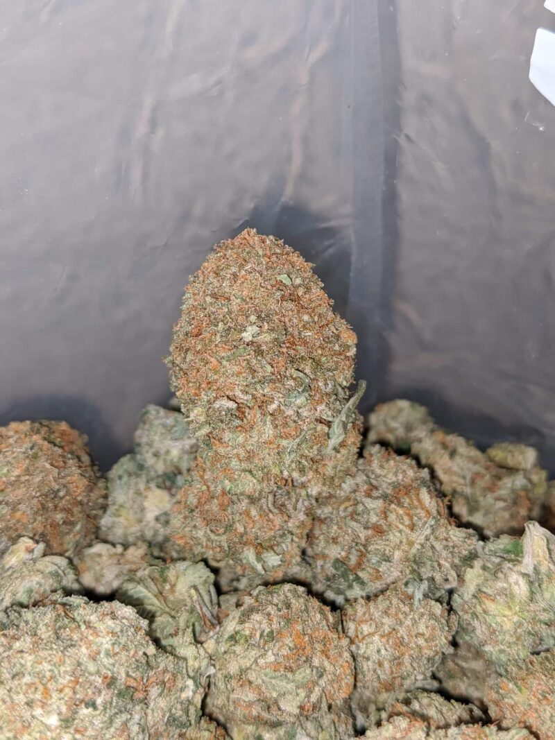 Lemon Kush - Image 5