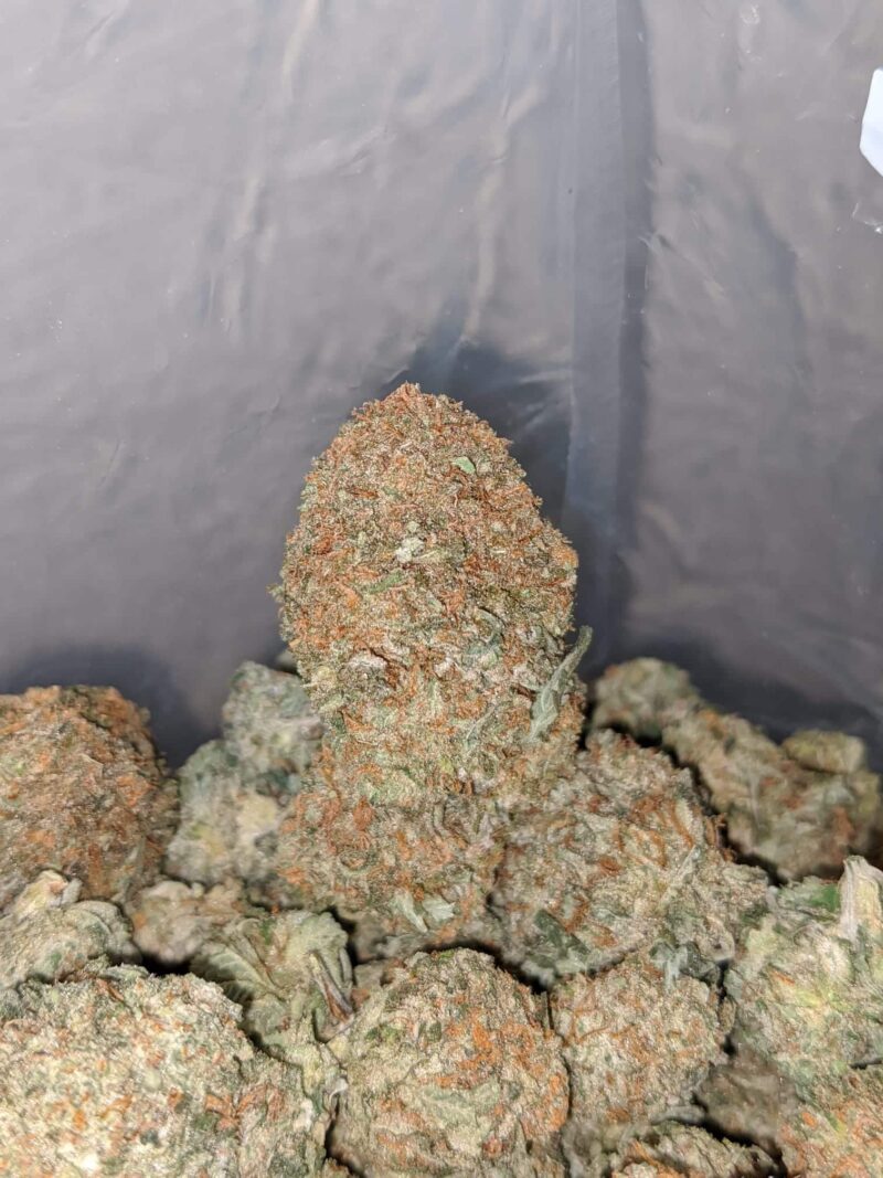 Lemon Kush - Image 4