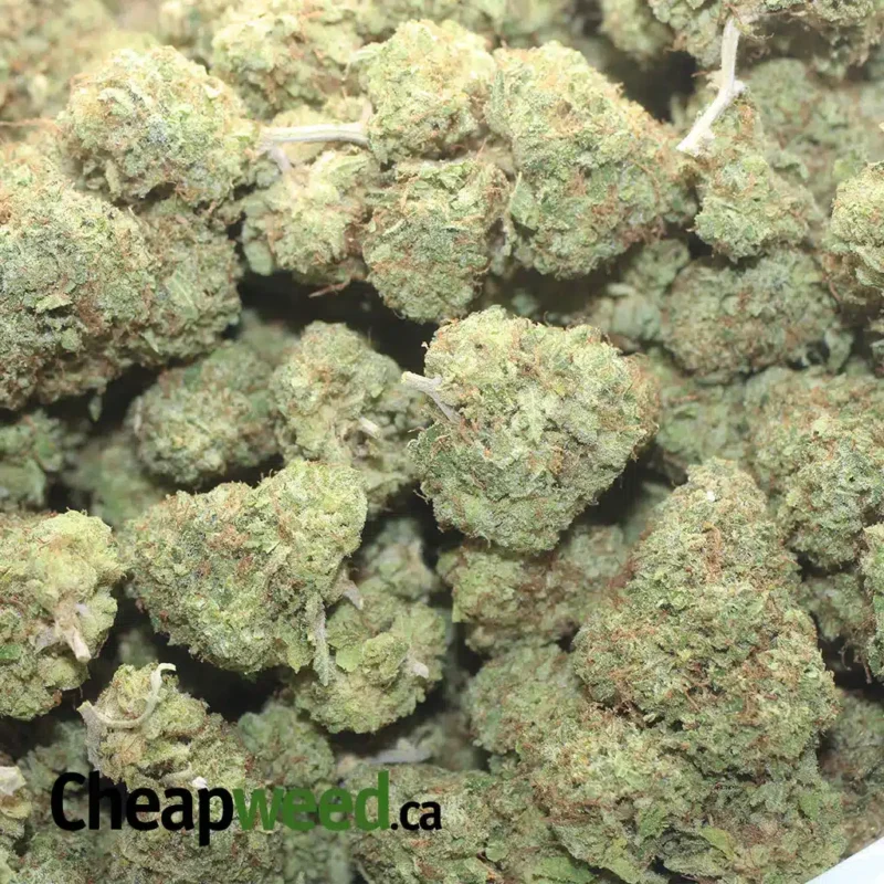Lemon Thai - Image 3