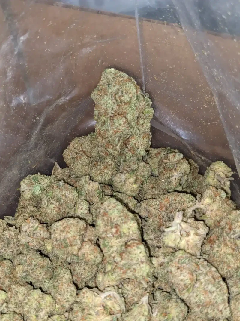 Lemon Cherry Gelato - Image 2