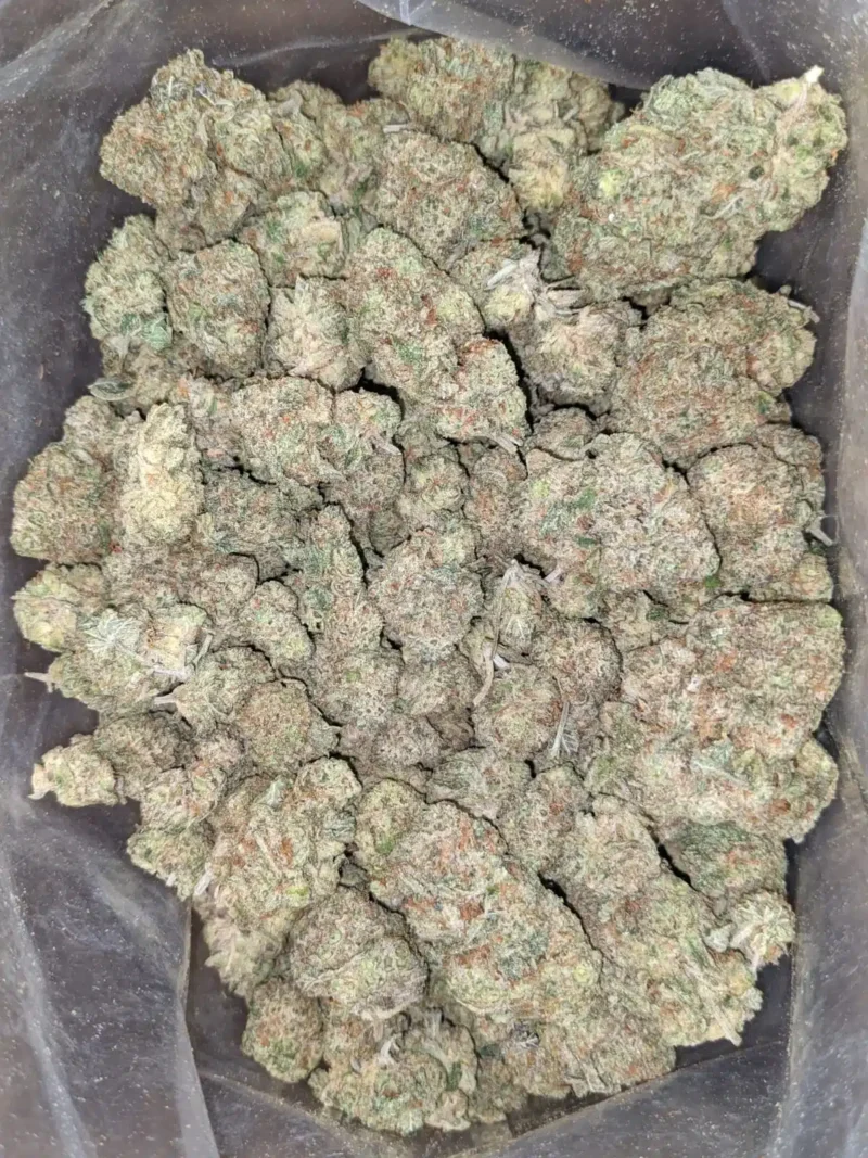 Lemon Cherry Gelato - Image 5