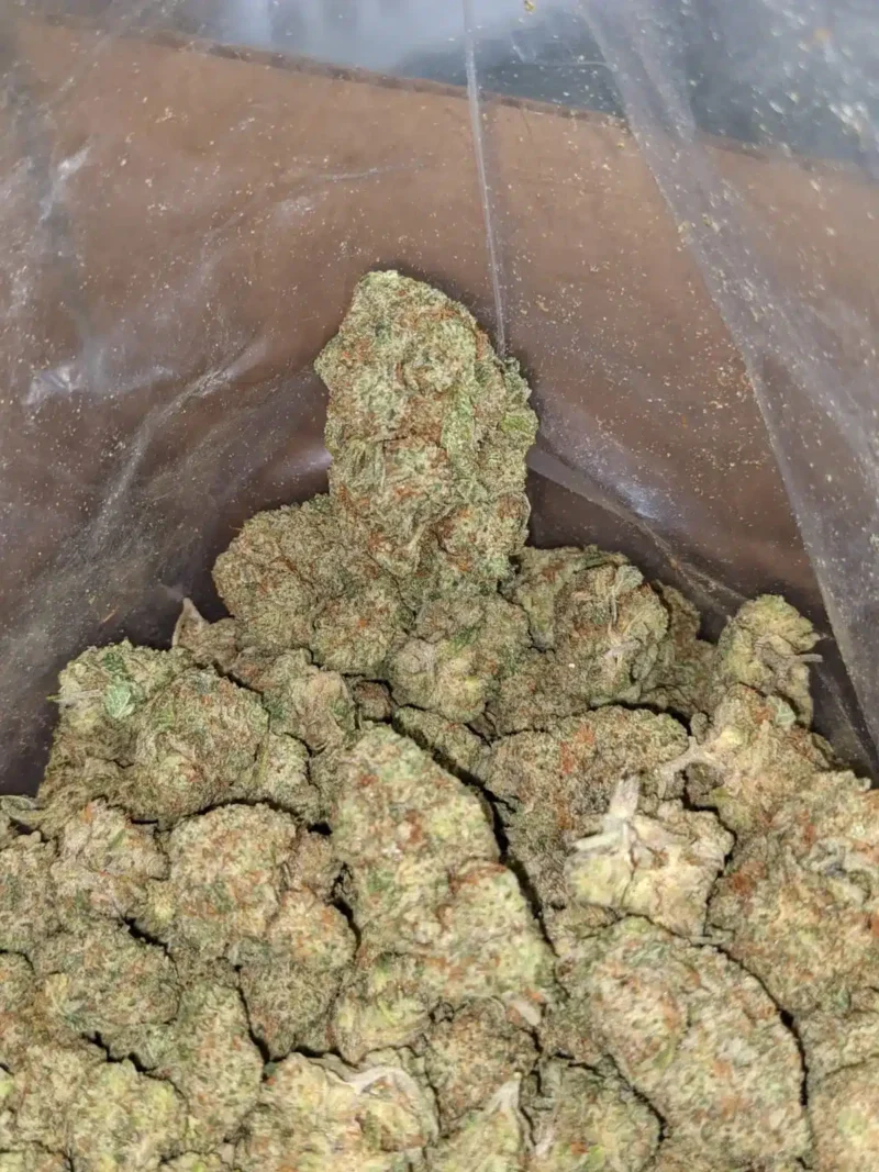 Lemon Cherry Gelato - Image 4