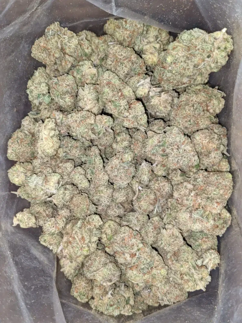 Lemon Cherry Gelato