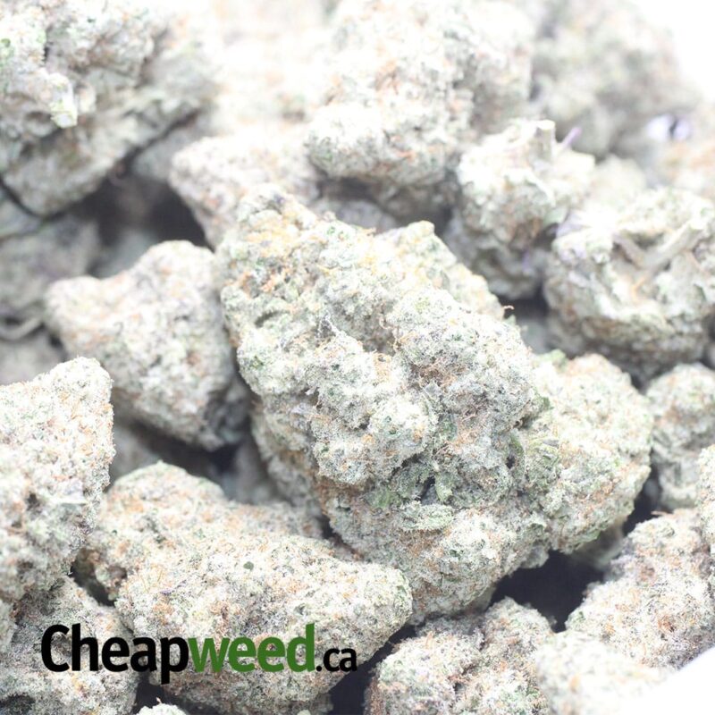 Lucky Charms #2 - Image 3
