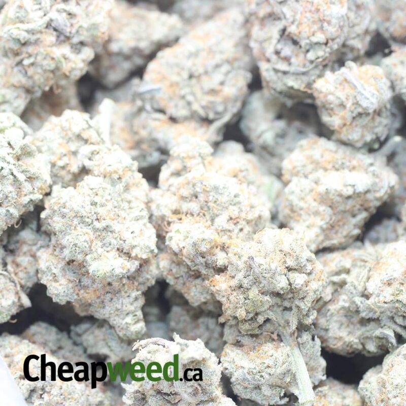 $ 60 Oz – Lucky Charms - Image 3