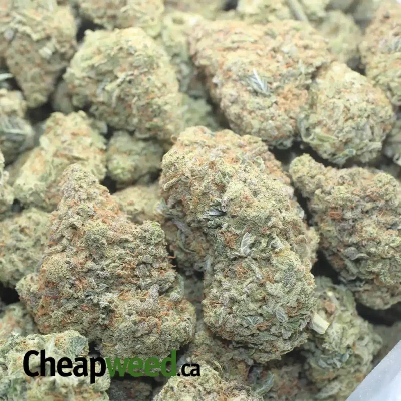 Lucky Charms - Image 3