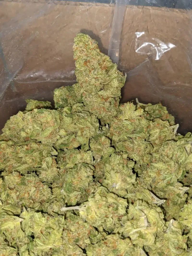 LA Confidential – *Deal Of The Day* - Image 7