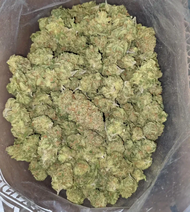 LA Confidential – *Deal Of The Day* - Image 6