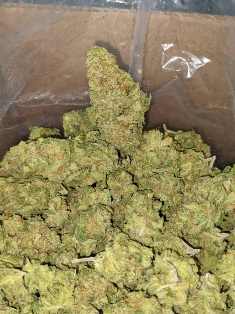 LA Confidential – *Deal Of The Day* - Image 5