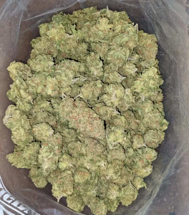 LA Confidential – *Deal Of The Day* - Image 4