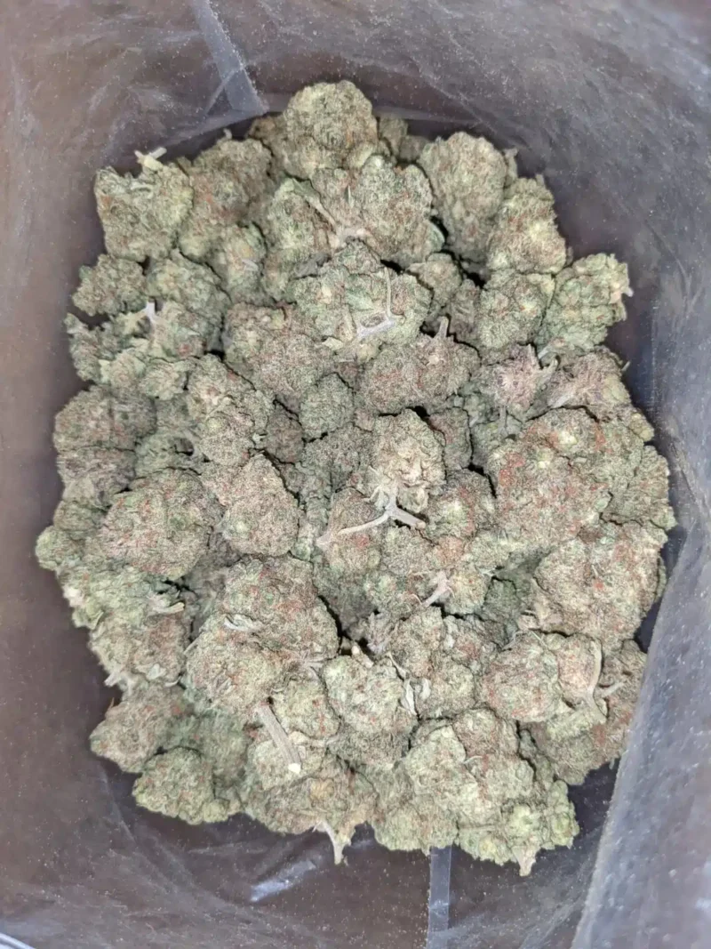 Lemon Candy Bulk Special - Image 5