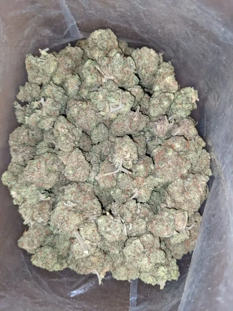 Lemon Candy Bulk Special - Image 4