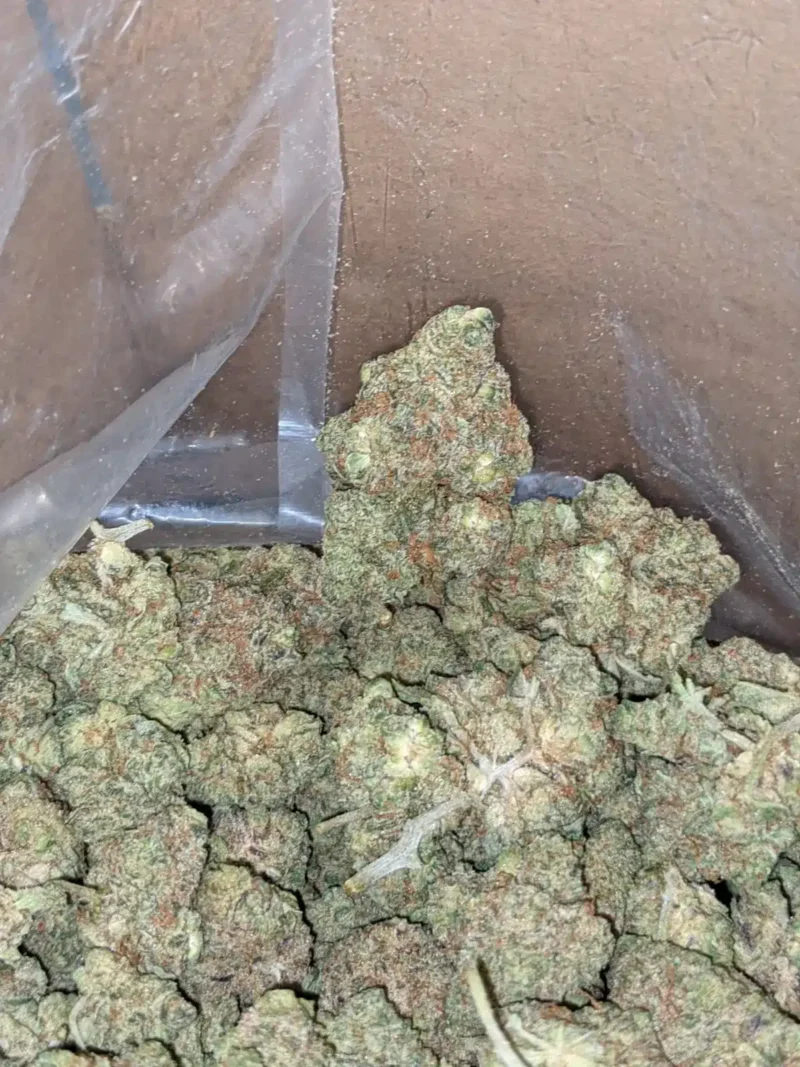 Lemon Candy Bulk Special - Image 7
