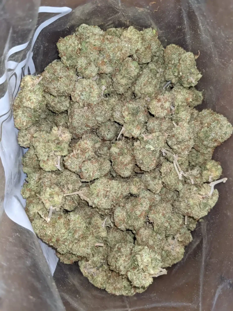 Lemon Thai - Image 5