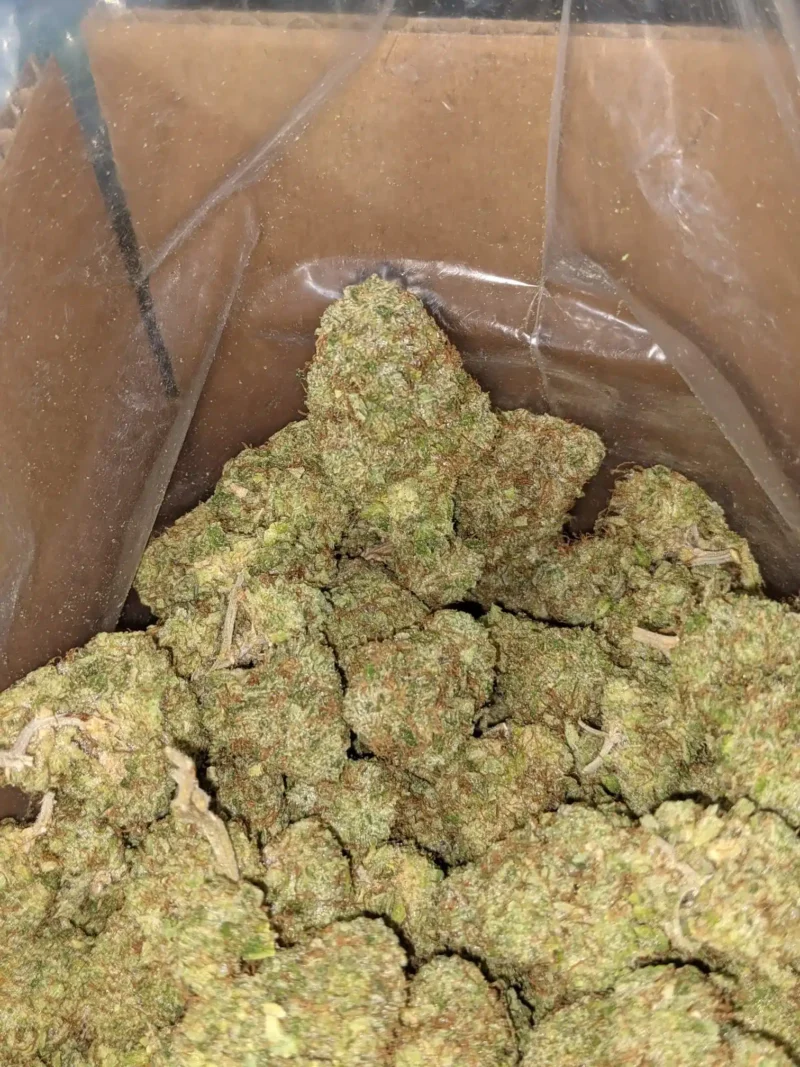 Lemon Thai - Image 7
