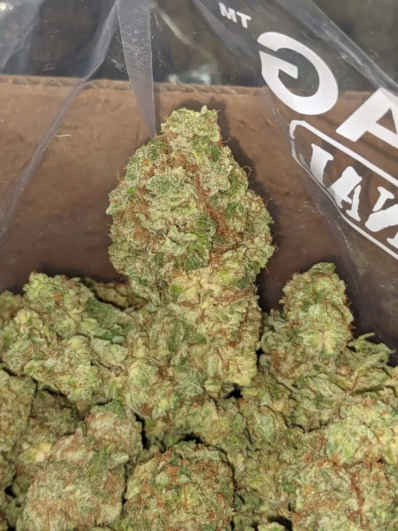 Lemon Breath - Image 5