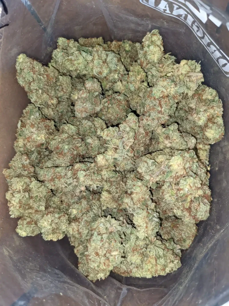 Lemon Breath - Image 4