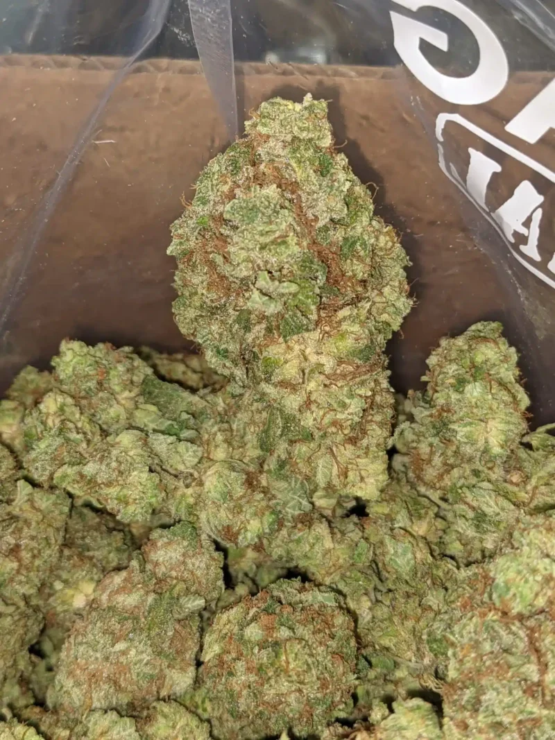 Lemon Breath - Image 7