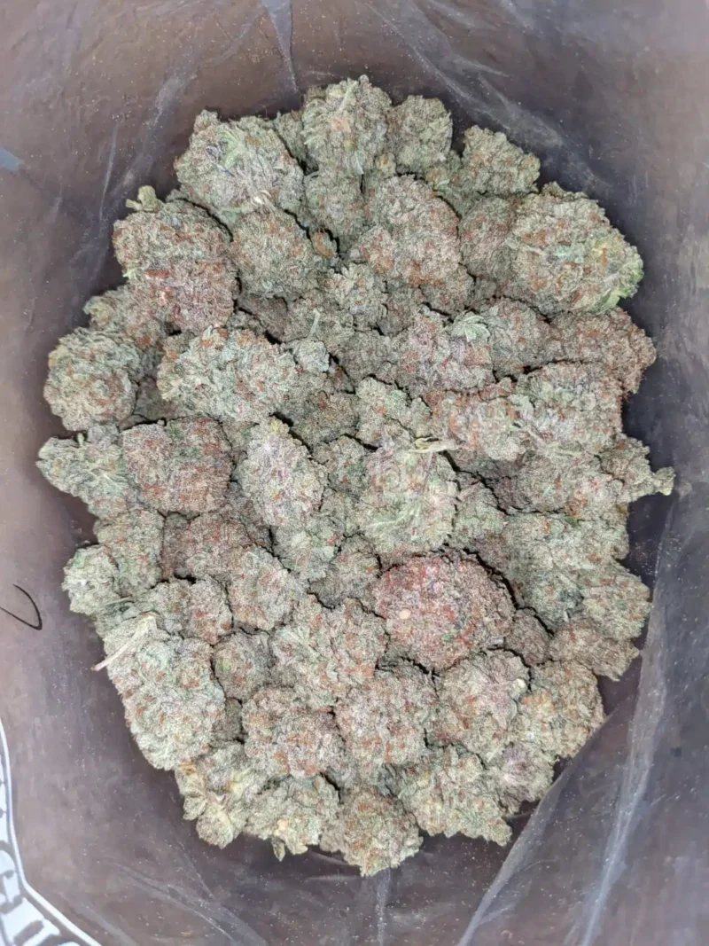 Lemon Citrus - Image 4