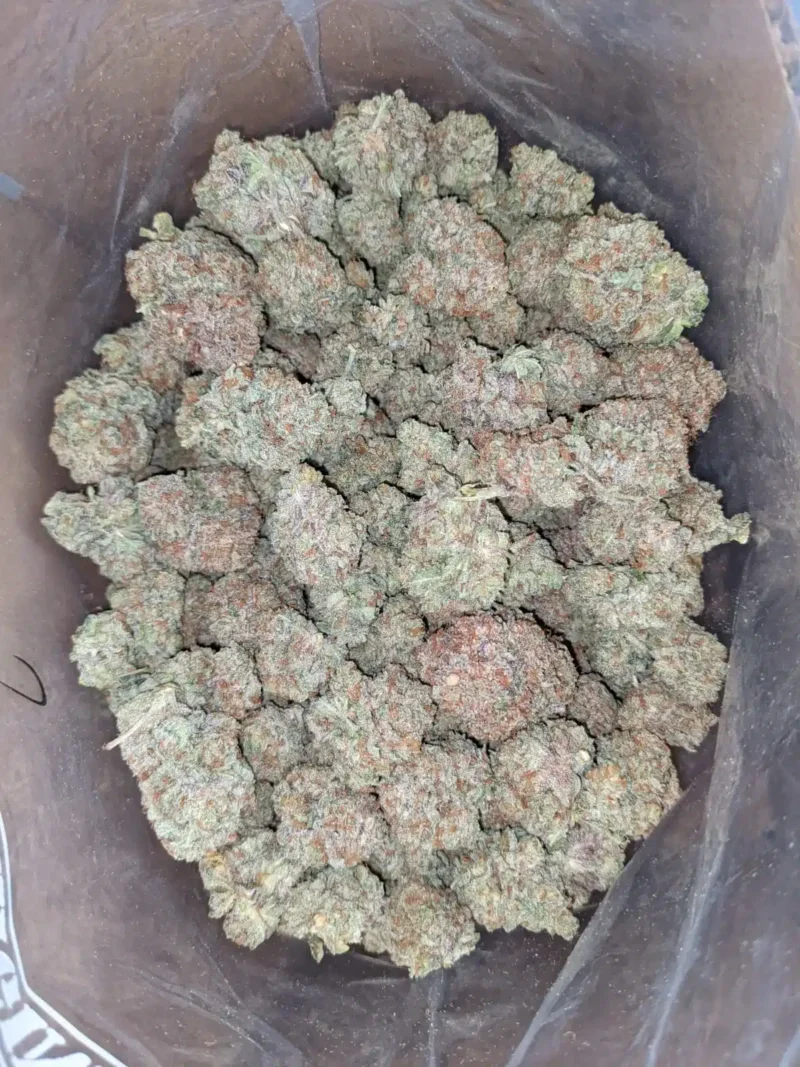 Lemon Citrus - Image 6