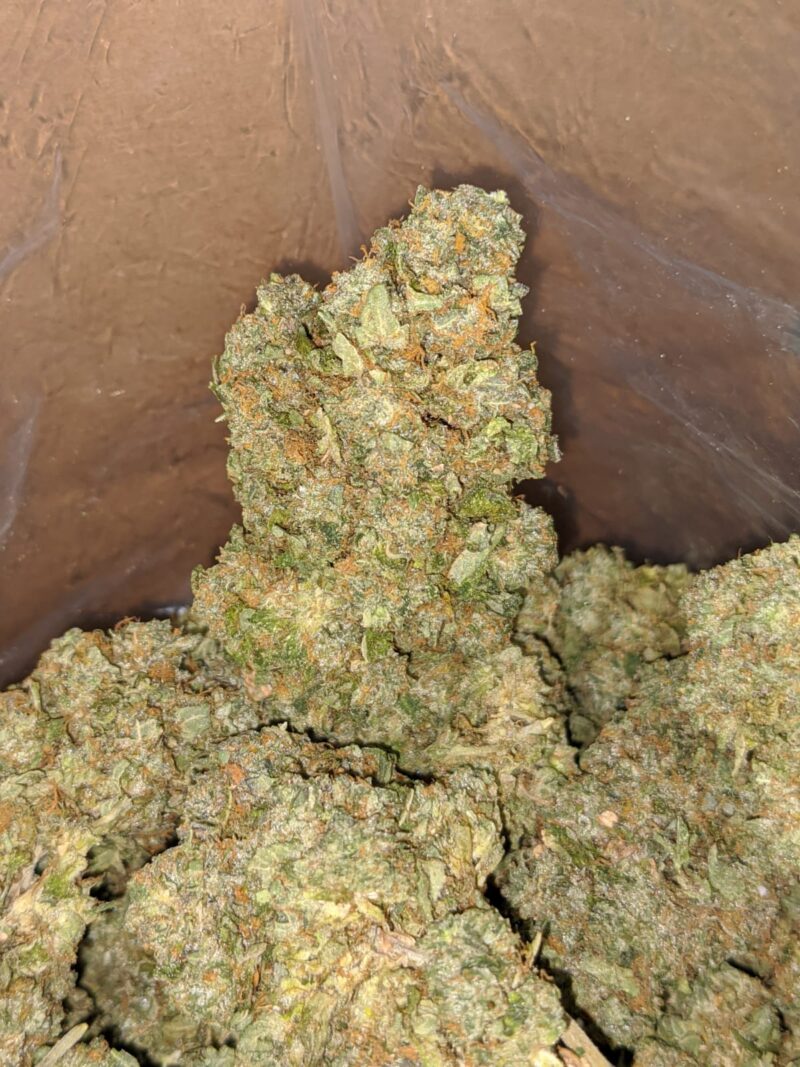 Lemon Diesel - Image 7