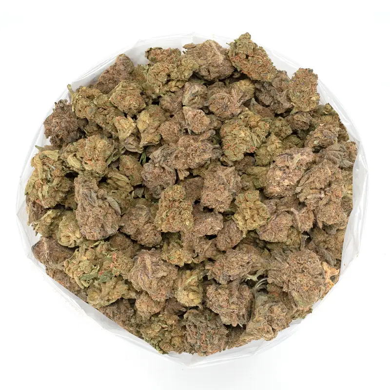 Lilac Diesel
