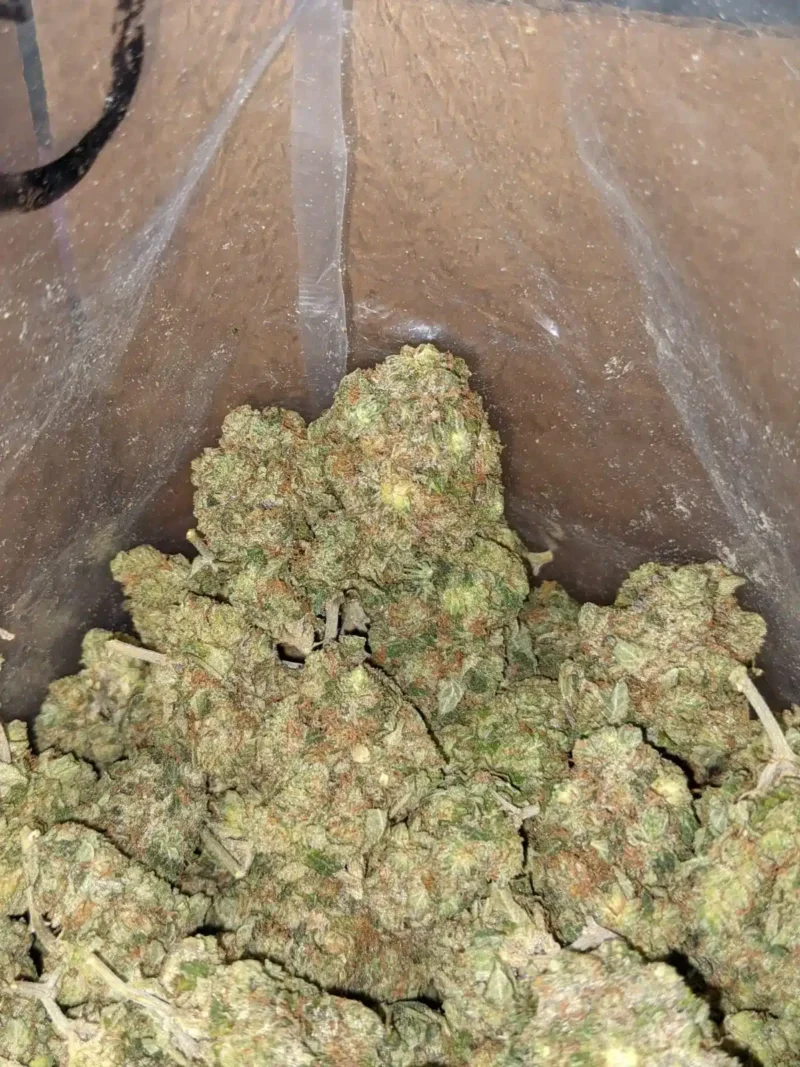 Lindsay OG - Image 6