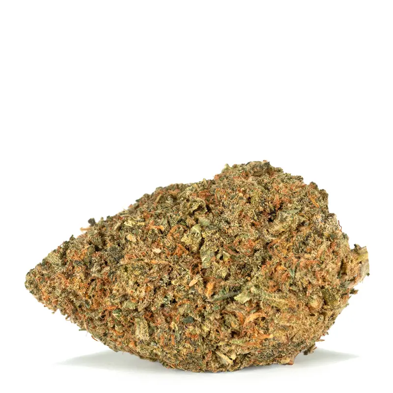 Lindsay OG