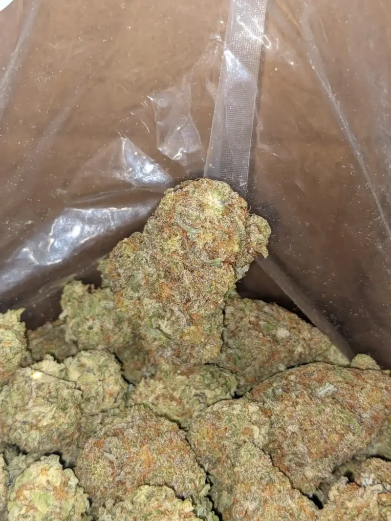 Lucky Charms - Image 6