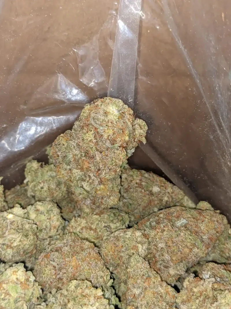 Lucky Charms - Image 7