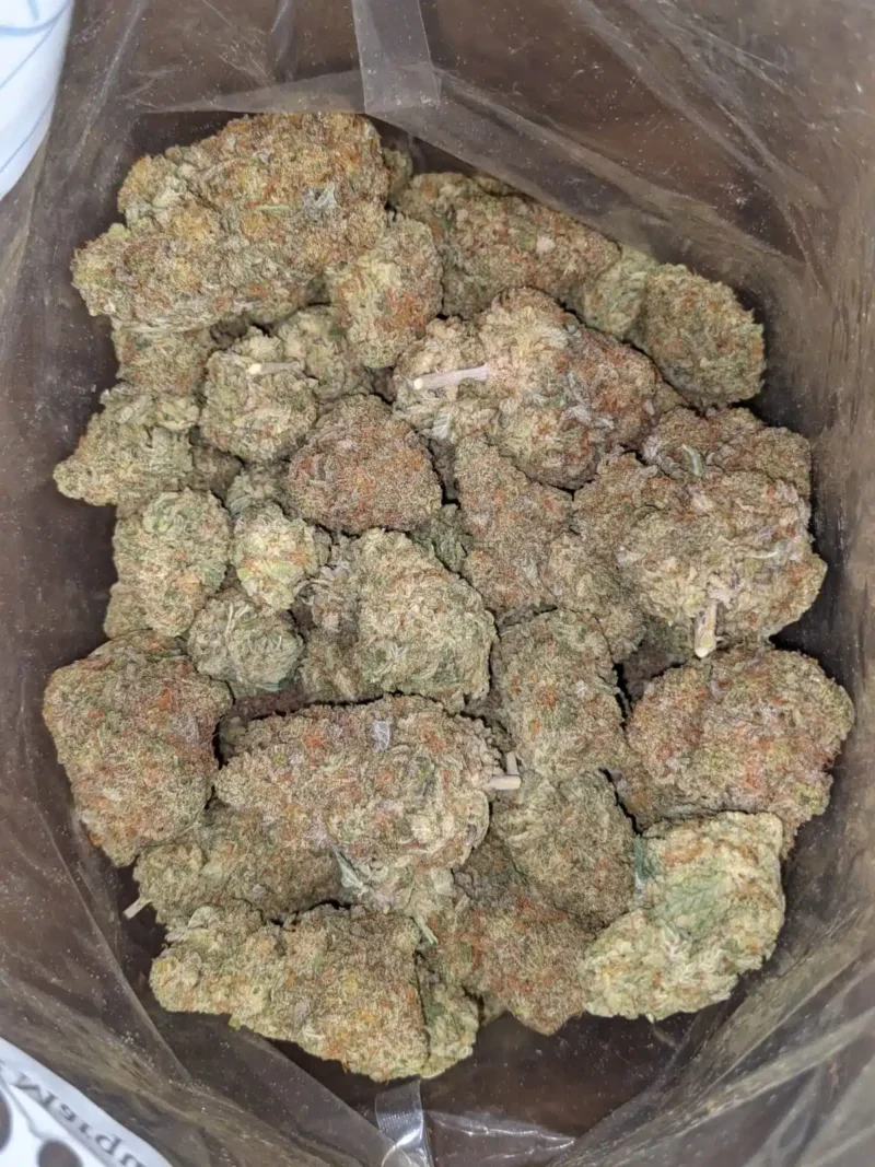 Lucky Charms - Image 5