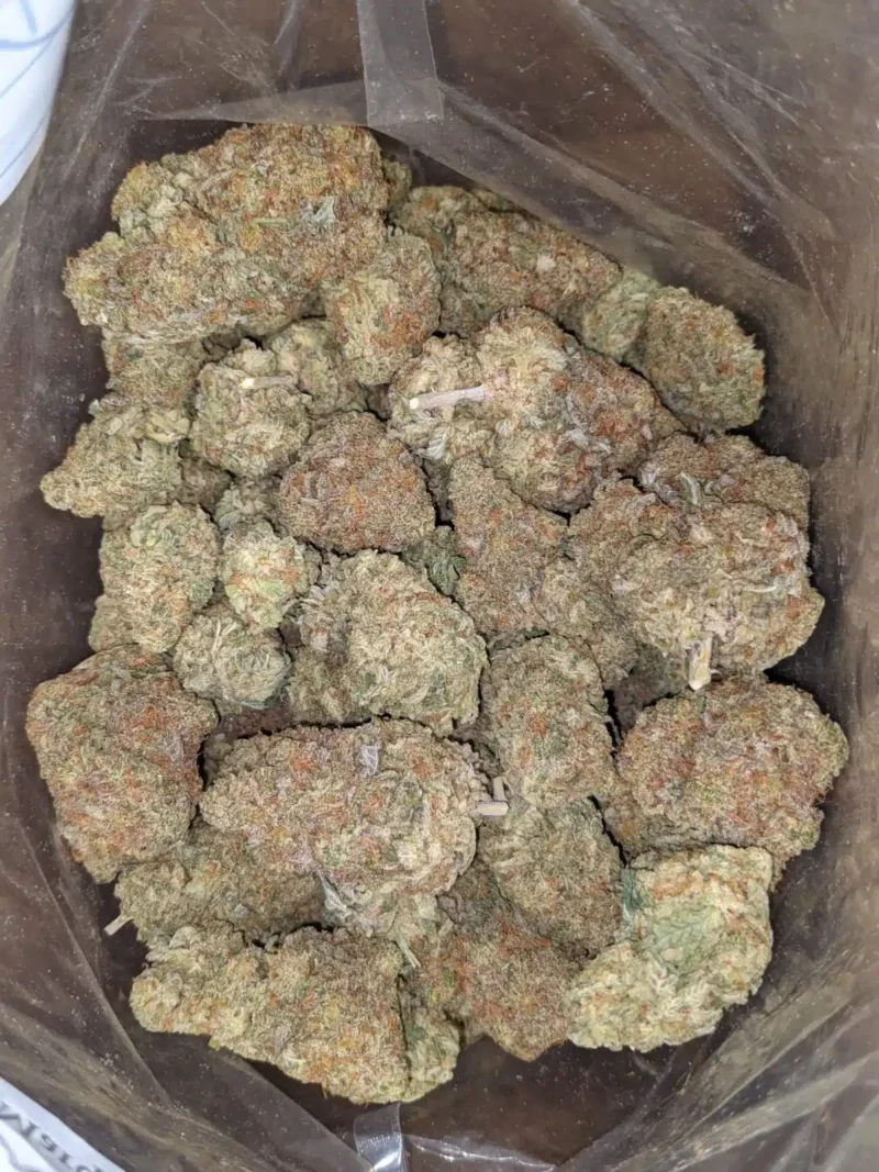 Lucky Charms - Image 4