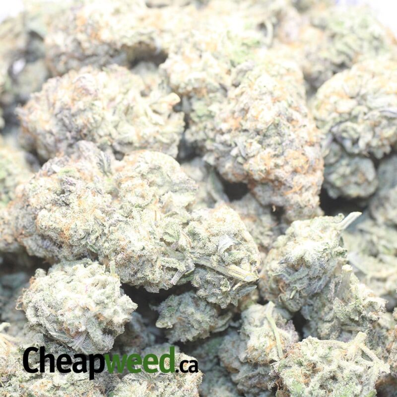 Mac 10 X Cookies - Image 3