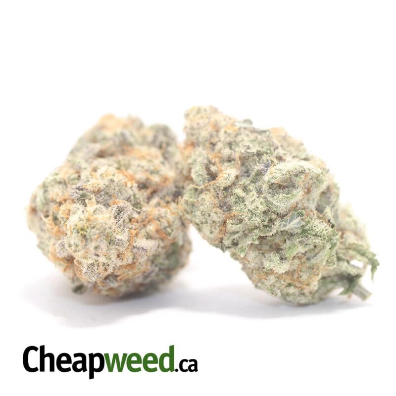 Mac 10 X Cookies - Image 2
