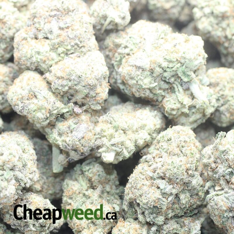Miracle Alien Cookies #10 - Image 3