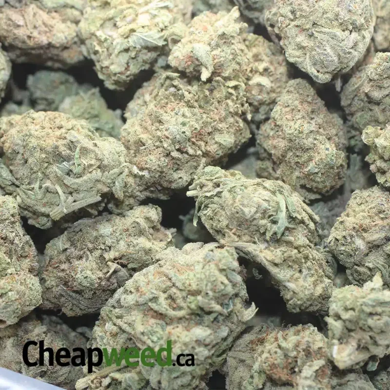 Meat Breath - Image 3