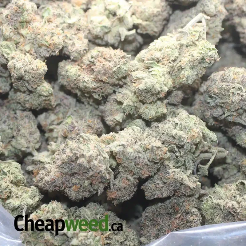 Mendo Breath - Image 3