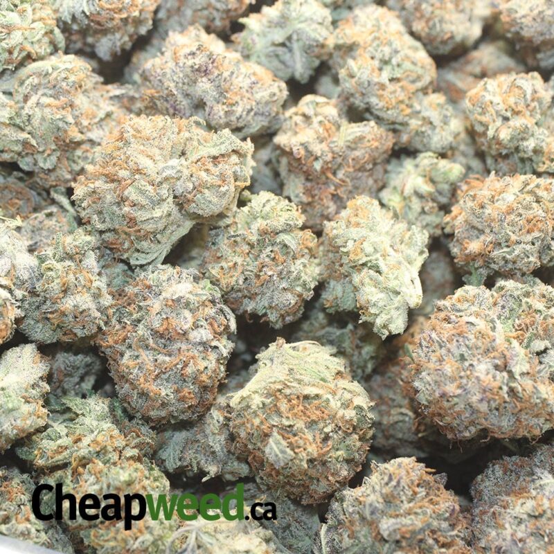 $ 63 Oz – Mendo Cookies - Image 3