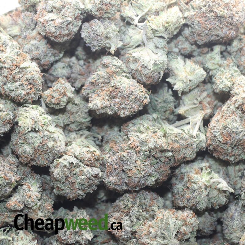 Mendo Cookies - Image 3